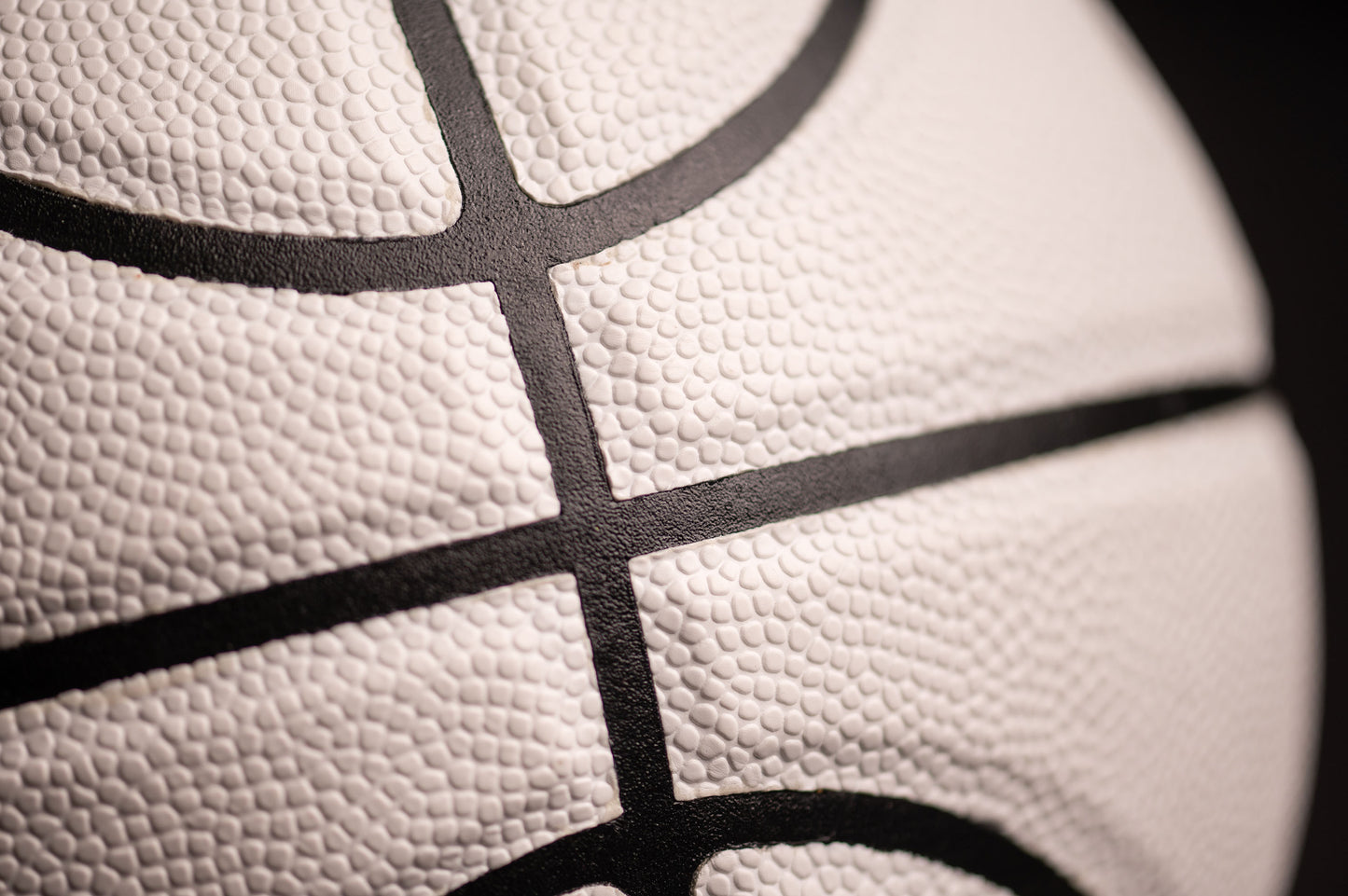 The Motivated Basketball | 29.5 Leather Indoor/Outdoor