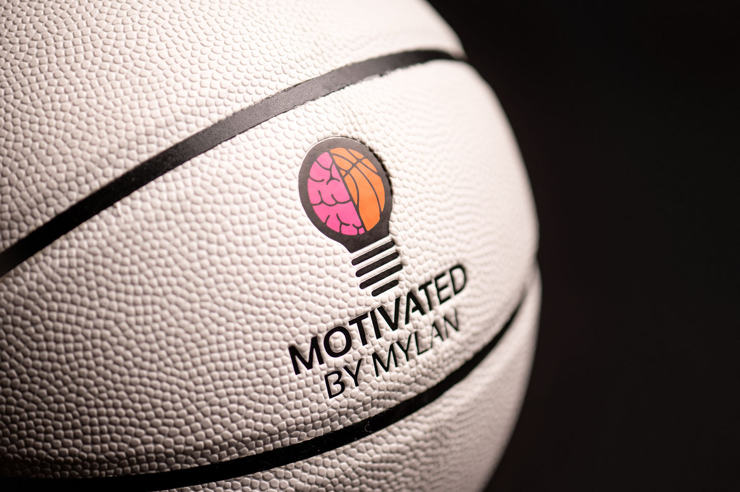 The Motivated Basketball | 29.5 Leather Indoor/Outdoor